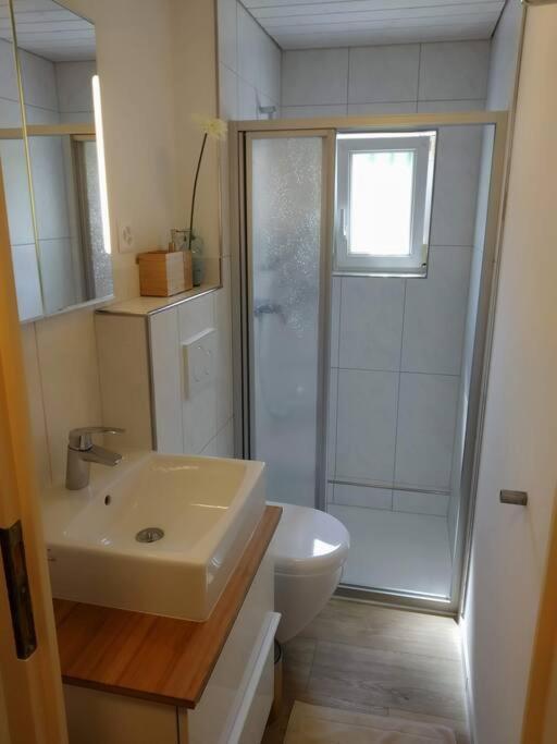 Bijou 1 Huebsche 1 Zimmer Wohnung Herisau Eksteriør bilde